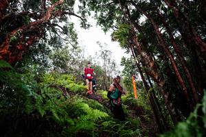 BIB: 
                            <button type="button" onclick="openModal(26202492)" class="btn btn-primary btn-sm float-right btn-popup" data-toggle="modal" data-target=".modal-high-quality">
                        <i class="fas fa-shopping-cart"></i> Add to Cart
                    </button>
                                            <button type="button" onclick="isThisMe(26202492, true)" class="btn btn-success btn-sm float-right btn-popup btn-isme hidden" data-toggle="tooltip" data-placement="bottom" title="นี่คือรูปของคุณใช่ไหม คลิกที่นี่เพื่อเอาเข้าอัลบั้ม">
                        <i class="fas fa-plus"></i> Add to album
                    </button>
                    <button type="button" onclick="isThisMe(26202492, false)" class="btn btn-warning btn-sm float-right btn-popup btn-isnotme hidden">
                        <i class="fas fa-ban"></i> Remove from album
                    </button>